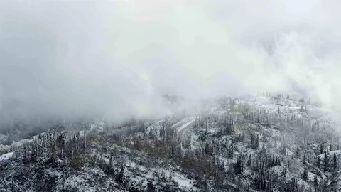 Handüzü Yaylası'nda Kartpostallık Kar Manzaraları