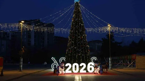 Nilüfer'de Yeni Yıl Festivali Başlıyor