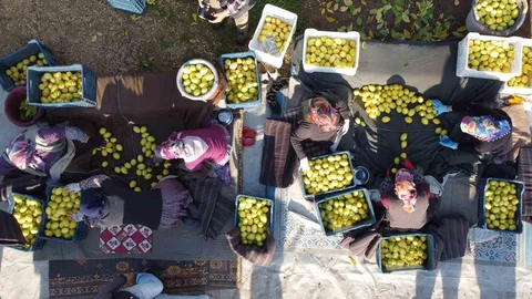 Tarım Ürünleri Fiyat Endeksi Açıklandı