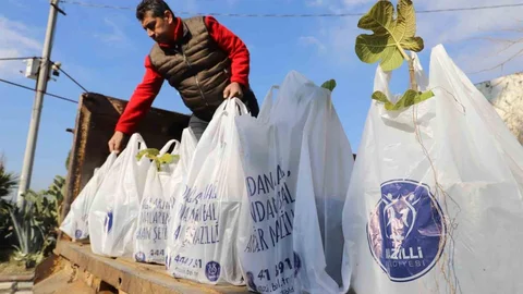 Nazilli'de Ağaç Fidanı Dağıtımı Tamamlandı