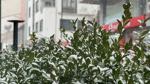 Tatvan'da Kar Yağışı Etkili Oldu