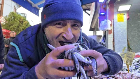 Samsun'da Hamsi Fiyatları Yükseldi