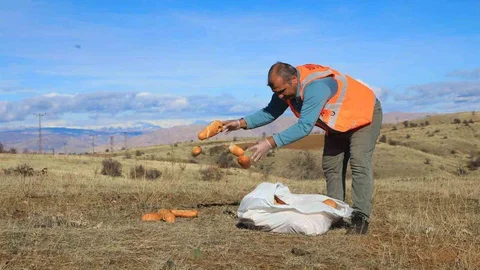 Elazığ'da Sokak Hayvanlarına Yem Bırakıldı