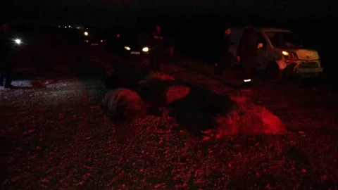 Malatya'da Araç Koyun Sürüsüne Çarptı