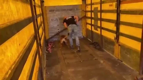 Hatay'da Uyuşturucu Hap Operasyonu