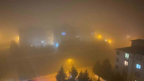 Yenişehir'de Yoğun Sis Etkili