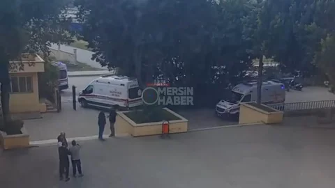 Tarsus Borsa İstanbul Lisesi’nde Doğum Günü Zehir Oldu: Tarihi Geçmiş Çikolata 10 Öğrenciyi Zehirledi, 3 İş Yeri Mühürlendi