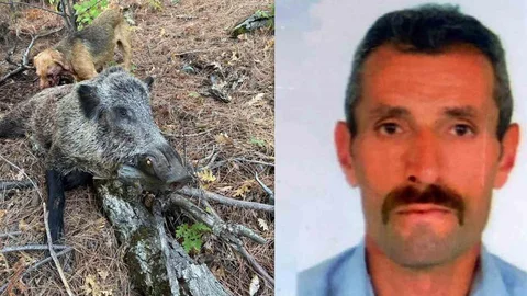 Erzincan'da Domuz Saldırısı Sonucu Avcı Hayatını Kaybetti
