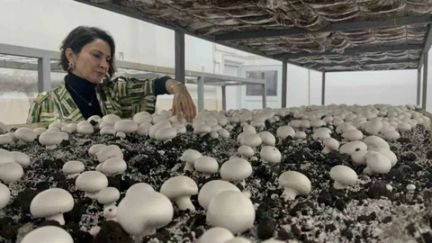 Tokat'ta Mantar Üretimi Eğitimi