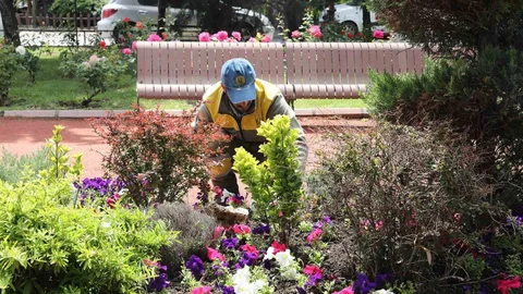 Keçiören'de Yeşil Yolculuk Başladı