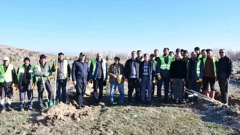 Beylikova'da Ağaçlandırma Çalışması