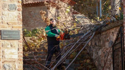 Aydın'da Tarihi Türbe Temizlendi