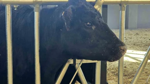 Kırsalda Bereket Projesi Yozgat'ta Başladı