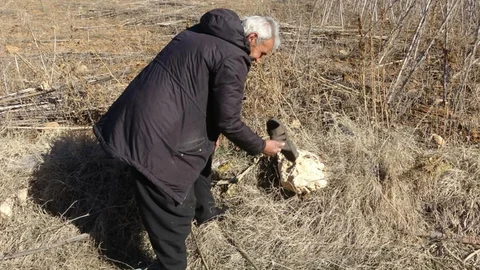 Çamurlu Ayakkabıyla Market Alışverişi