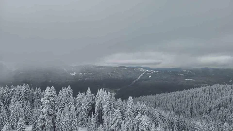 Ilgaz Dağı'nda Kar Manzarası