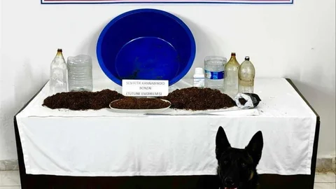 Çankırı'da Uyuşturucu Operasyonu Yapıldı