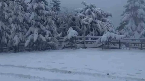 Bolu'da Kış Turizmi İçin Yapay Kar Desteği
