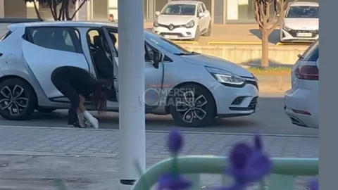 Vatan Caddesi’nde Merak Uyandıran Anlar: Sokak Ortasına Yazı Yazıp Kayıplara Karıştı...