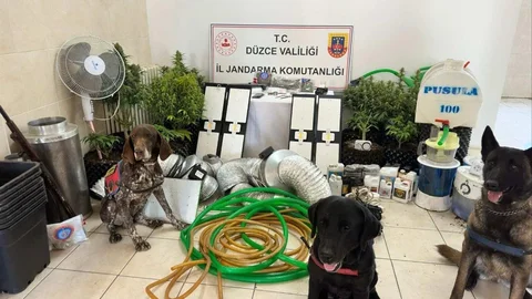 Düzce'de Uyuşturucu Ticareti Operasyonu