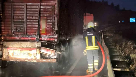 Muğla'da Tomruk Yüklü TIR Yangını