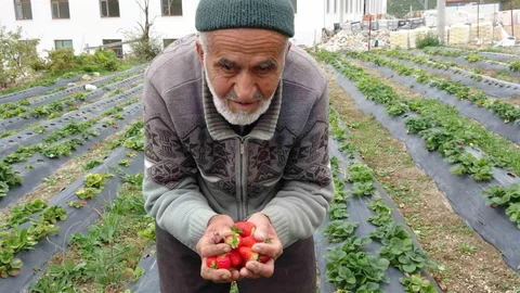 Isparta'da Acı Kaybı Yaşandı