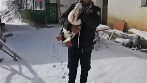 Erzincan'da Kazdan Helallik İstendi