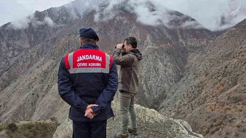 Artvin'de Kaçak Avcılığa Denetim