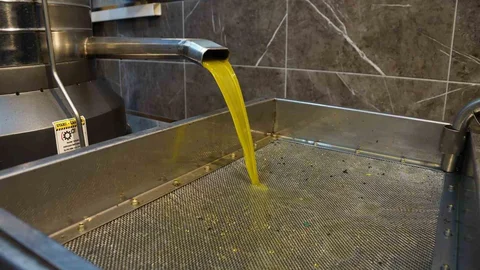 Aydın'da Zeytinyağı Fiyatları Yükseldi