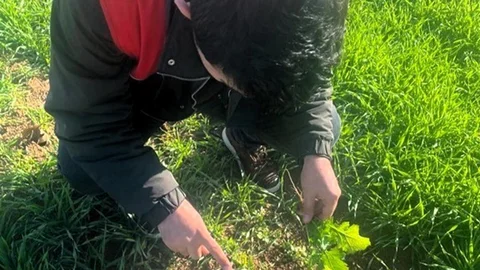 Kofçaz'da Tarla Faresiyle Mücadele İnisiyatifi