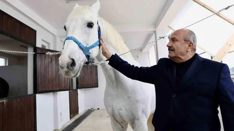 Taşköprü'de Atlı Turizm Merkezi Geliyor