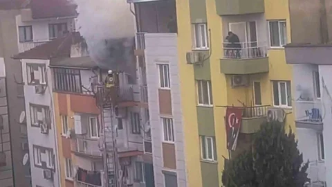 Manisa'da Ev Yangını Sonucu 6 Kedi Telef Oldu