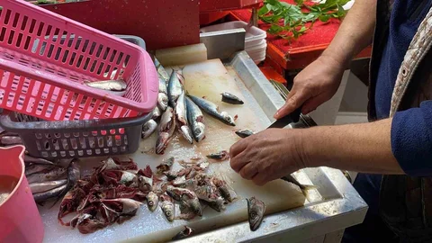 Bolu'da Balık Tazeliği Yanılgısı