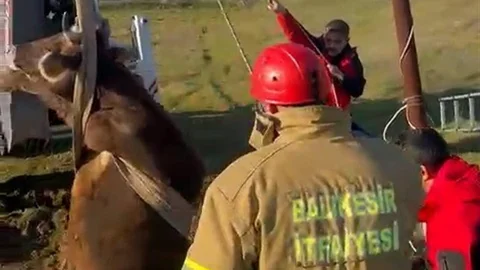 Balıkesir'de Kuyudan İnek Kurtarıldı