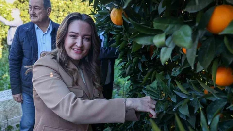 Finike’nin İhtiyaçlarına Yönelik Çalışmalar Devam Ediyor