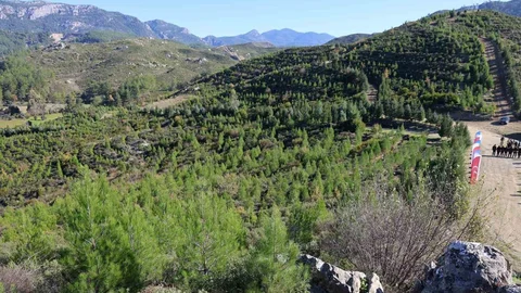 Muğla'da Orman Yangınları Sonrası Ağaçlandırma Çalışmaları