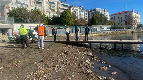 Sinop'ta Deniz Kirliliği Tartışma Konusu Oldu