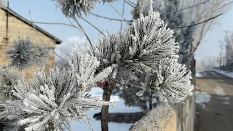 Ağrı'da Soğuk Hava Önlemleri