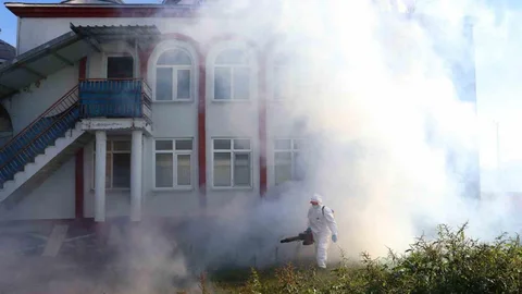 Kahverengi Kokarca ile Mücadele Devam Ediyor