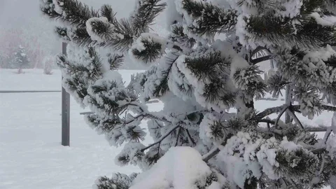 Ardahan'da Dondurucu Soğuk Hava Etkili