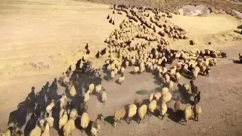 Zamanın Ustaları Belgeselinin İlk Görüntüleri Yayınlandı