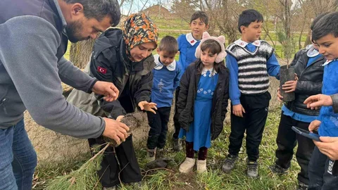 Altıntaş'ta Fidan Dikimi Etkinliği