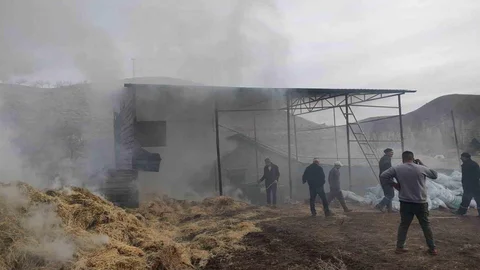 Malatya'da Besi Çiftliğinde Yangın Çıktı