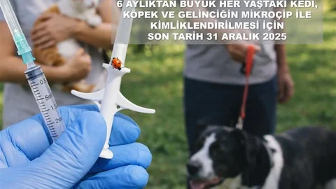 Bartın'da Evcil Hayvan Uyarısı Yapıldı