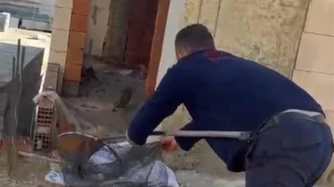 Cizre'de Mahsur Kalan Kedi Kurtarıldı