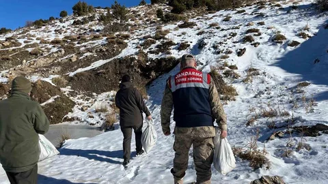 Siirt’te Yaban Hayvanlarına Yem Bırakıldı