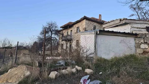 Ankara'da Bağlı Köpek Saldırısı