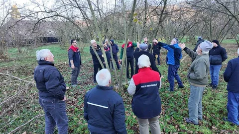 Düzce'de Fındık Verimliliği Artıyor