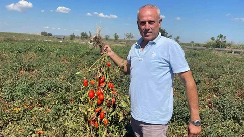 Bursa'da Dedesi Muhtar Olunca "Seçim" Adını Aldı