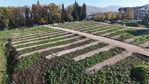 Gölcük'te Yeni Mezarlık Alanları Hazırlandı