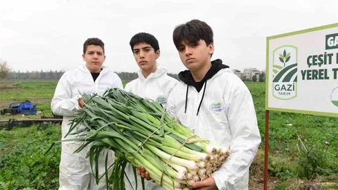 Osmangazi'de Pırasa Hasadı Yapıldı